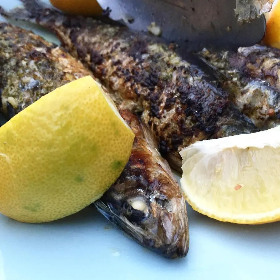 El Molino إِستيبونا