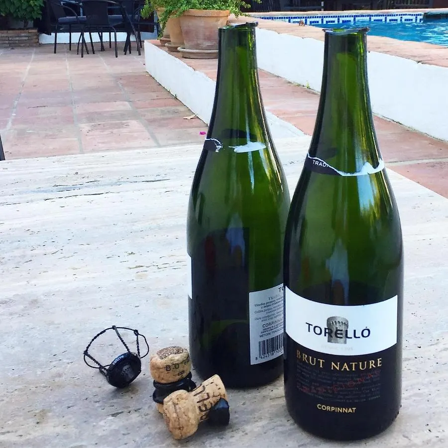 El Molino Estepona Hotel