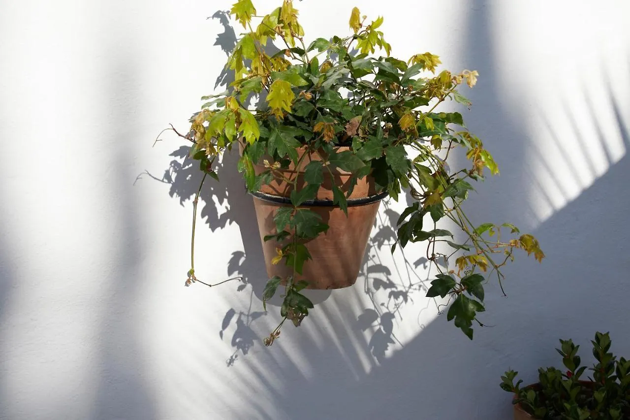 El Molino Estepona Spanje